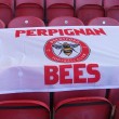 Perpignan Bees 5ft x 3ft lightweight flag